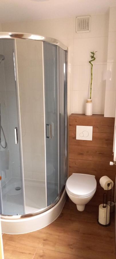 Apartment Gromadzyn Sie - Pod Wyciagiem